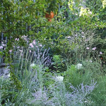 In With Garden, Citylife דירה