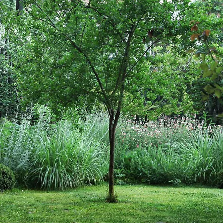 In With Garden, Citylife דירה *